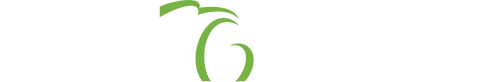 Departmeariabnt of Insurance and Financial Services