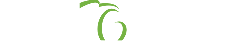 DIFS Logo